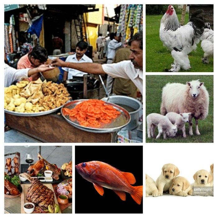 20180317_133903-COLLAGE